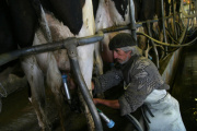 La leche, cada vez en menos manos