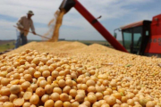 Se dispararon las declaraciones de venta de soja
