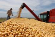 El campo vende antes de que suban las retenciones y el dólar baja de $ 1.200