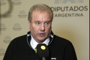 Presentan un proyecto para “terminar con las candidaturas testimoniales”