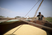 "El superávit no es legítimo si asfixia la producción"