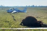 Un avión impactó contra un toro durante aterrizaje nocturno