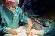 Trabajo en red entre hospitales bonaerenses lleva adelante operaciones neonatales