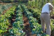 El fracaso del agronegocio