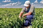 El Gobierno y la Rural sellaron un acuerdo para que la ANSES vaya directo al campo