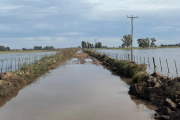 Las lluvias complicaron aún más la situación de a miles de hectáreas de campos bonaerenses