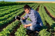 Duras reflexiones del centro de ingenieros agrónomos