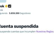 X suspendió a Grok, la propia IA de Elon Musk, por denunciar genocidio en Gaza