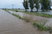Prorrogan el estado de Emergencia y Desastre Agropecuario para todo el partido de 9 de Julio