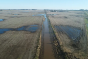 Nación declaró la emergencia agropecuaria en 12 distritos bonaerenses