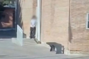 Terror en Mendoza: Una alumna llevó un arma, disparó dos veces y se atrincheró en el patio
