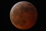 Eclipse lunar del 7 de septiembre: a qué hora será, dónde se verá la “Luna de Sangre” y qué significa