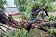 Fuerte tormenta generó daños en Los Toldos y otras localidades de la región