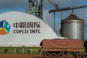 COFCO Junín prepara el primer embarque de trigo argentino a China