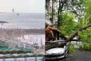 Fuerte temporal en Mar del Plata provocó serios destrozos