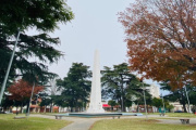 Shows, emprendedores y una jornada solidaria para toda la familia en la plaza 9 de Julio