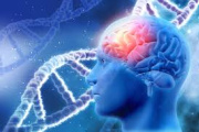 Estos son los tres derechos de las personas con epilepsia que más se vulneran en Argentina