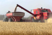 ¿A quién le va bien en agricultura?
