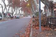 Las hojas y el viento, y el frío municipal, sucundúm, sucundúm