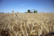 Oficializan la reducción de las retenciones para el agro y los biocombustibles