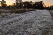 El invierno llegó con fuerza: Habrá heladas y una semana con temperaturas cercanas a 0°C