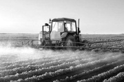 Desde la Cuarta Sección reclaman una ley específica para las fumigaciones en los campos
