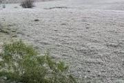 El frío pegó fuerte en Junín: La ciudad, entre la más frías de Argentina