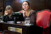 Arata defendió la 'Zona Fría' y advirtió sobre el impacto del tarifazo en las familias