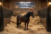 Licitación bonaerense: Millonaria compra de viruta y una empresa favorita cuestionada