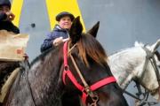 Del Big Mac al Mc Gaucho: En la nueva terminal de Junín, las hamburguesas salen 'a caballo'