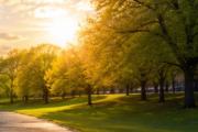 La semana arranca con frío en Junín y la región: cuándo suben las temperaturas