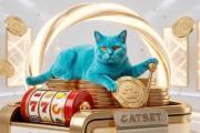CATBET Argentina: guía para nuevos jugadores y casino online