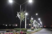 El costo de la oscuridad: por qué las luces de Petrecca se pagan dos  veces