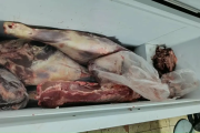 Villarino: Hallaron casi 600 kilos de carne sin controles sanitarios en dos allanamientos