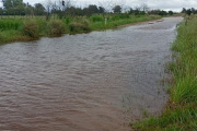 Ya hay excesos hídricos en campos y caminos cercanos a Junín por el Niño