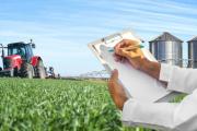 Más allá del rinde: cómo las empresas B redefinen el ADN del agronegocio