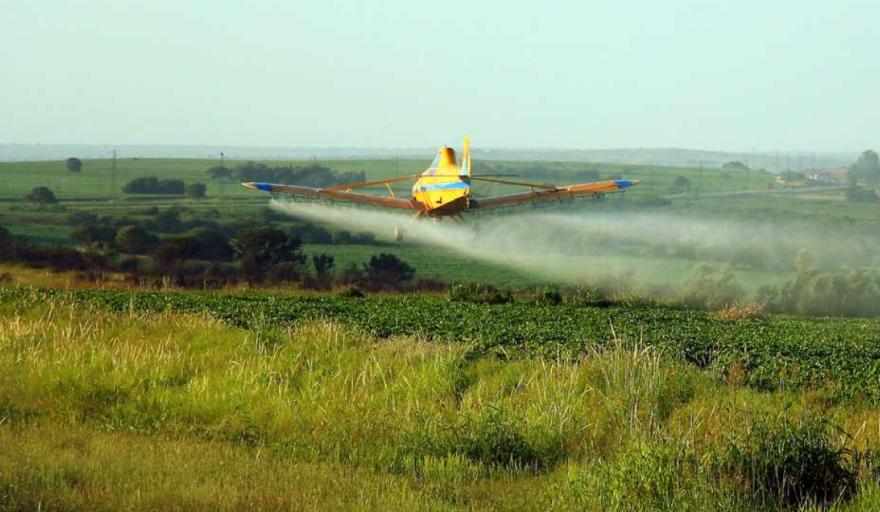 Un fallo a medida de la impunidad del agronegocio